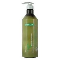Šampūnas sausiems ir pažeistiems plaukams Dancoly Aroma Shampoo Dry and Damaged hair 1000 ml