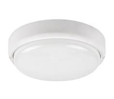Rabalux 7406 - LED Lauko lubinis šviestuvas HORT LED/15W/230V IP54 baltas