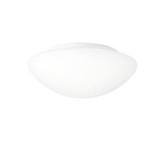 Sieninis vonios šviestuvas ASPEN 1xE27/60W/230V