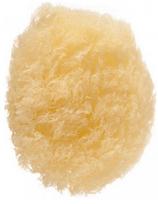 EuroStil veido valymo kempinė natūrali Eurostil Face Sponge Make Up Remover