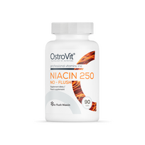 OstroVit Niacin 250 No-Flush 90 tab