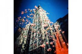 Lomography fotoaparatas Diana F+ min NAMIi, su blykste (135 formato) [D]