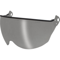 Apsauginiai akiniai Kask V2 Plus Smoke Grey