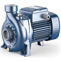 Sausai statomas siurblys Pedrollo NGAm 2B 0.55kW 230V 9.4m 450L/min.