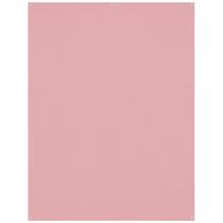 Westcott X Drop Kreukbestendige Achtergrond Licht Roze (1.5 x 2.1 m)