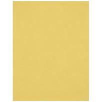 Westcott X Drop Kreukbestendige Achtergrond Kanarie Geel (1.5 x 2.1 m)
