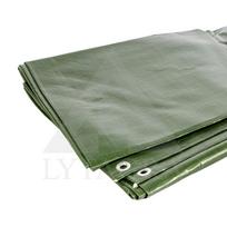 Tentas PE-0506-120 5x6m 120g/m2