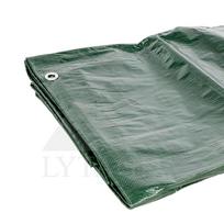 Tentas PE-1015-120 10x15m 120g/m2