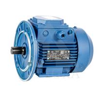 El. trifazis variklis 0,75 kW / 3000 APS / FL-PAD