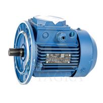 El. trifazis variklis 1,1 kW / 3000 APS / FL