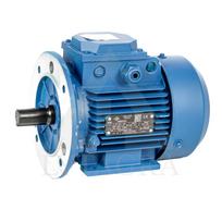 El. trifazis variklis 1,5 kW / 3000 APS / PAD -FL