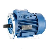 El. trifazis variklis 2,2 kW / 3000 APS / PAD-FL