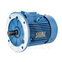 El. trifazis variklis 3,0 kW / 3000 APS / FL