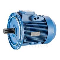 El. trifazis variklis 4,0 kW / 1000 APS / FL