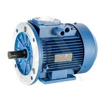 El. trifazis variklis 4,0 kW / 3000 APS / PAD-Fl