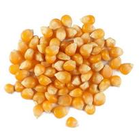 Kukurūzai spragėsiams, 200 g.