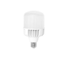 LED elektros lemputė E40/50W/230V 5000K - Ecolite
