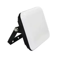 20W 4000K LED lauko prožektorius IP65