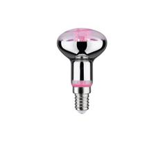 LED Lemputė augalų augimui GROW ŽALIA R50 E14/4W/230V - Paulmann 28734