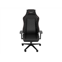 Žaidimų Genesis Nitro 890 G2