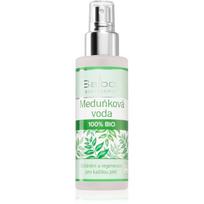 Saloos Floral Water Lemon Balm 100% raminamasis gėlių vanduo odai atnaujinti 100 ml