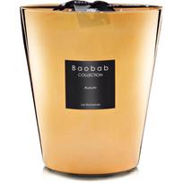 Baobab Collection Les Exclusives Aurum kvapioji žvakė 1000 g