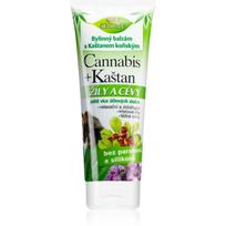 Bione Cosmetics Cannabis + Chestnut žolelių fluidas venų priežiūrai 200 ml