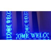 LED REKLAMA 100x20