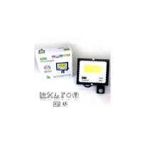 Led lauko švestuvas 50W su judesio davikliu 6500K MINI IP67