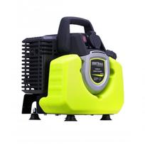 Inverterinis elektros generatorius 1000W 230V, KD132