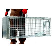 Profesionalūs gyvagaudžiai spąstai „STRONG“ – 120×34×34cm