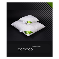 Antialerginė  pagalvė BAMBOO ( 50x60 cm)
