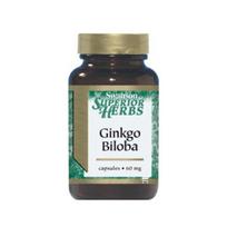 Maisto papildas nervų sistemai GINKGO BILOBA STANDARTIZUOTA N120