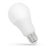 13W 6000K E27 LED lemputė GLS, šaltai balta