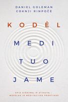 Kodėl medituojame - Daniel Goleman, Coknji Rinpočė