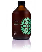 Gaivusis arbatos gėrimas VIGO Kombucha LT-EKO-001 , BIO Agurkas+kalendra 330ml D