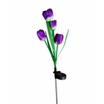 Gele tulpe su saules panele ir apsvietimu