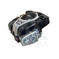 Variklis vejapjovei B-S 750EX