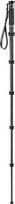 Gitzo monopod GM2562T Traveler