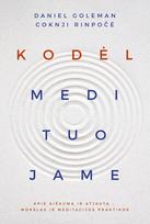 Kodėl medituojame