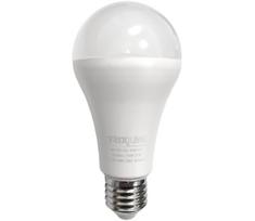LED elektros lemputė A65 E27/18W/230V 2700K