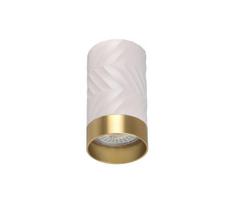 Akcentinis apšvietimas ARRAS 1xGU10/10W/230V balta