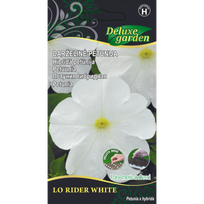 DARŽELINĖ PETUNIJA LO RIDER WHITE kilimėlyje