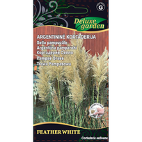 ARGENTININĖS KORTADERIJOS (sėklomis) FEATHER WHITE