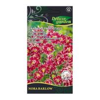 Aquilegia vulgaris NORA BARLOW