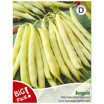 Pupelės žemaūgės daržinės Berggold 20g