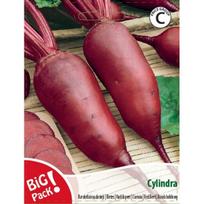 Burokėliai raudonieji Cylindra 10g