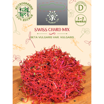 Sėklos daigams Lapiniai burokėliai 10g (BETA VULGARIS VAR.)
