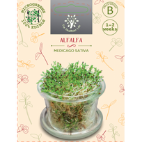 Sėklos daigams Liucerna 10g (MEDICAGO SATIVA)