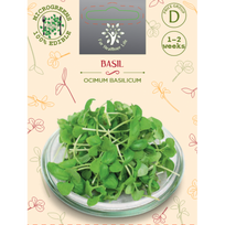 Sėklos daigams Kvapieji bazilikai 5g (OCIMUM BASILICUM)